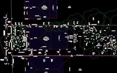 DETAIL SURVEY SAMPLES